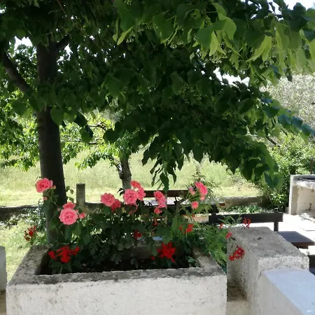 Apartmán & Hegic Zadar