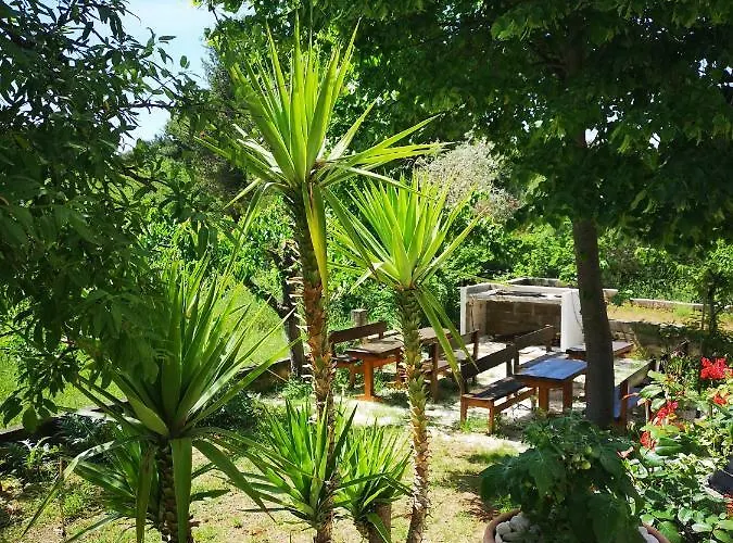 アパート & Hegic *