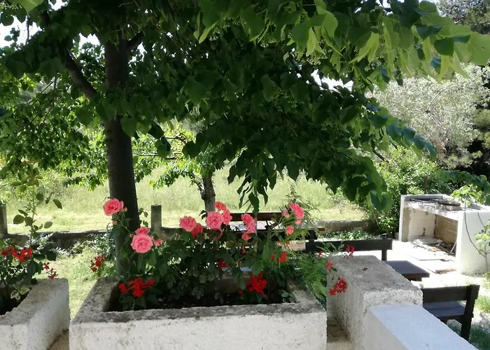 アパート & Hegic ザダル